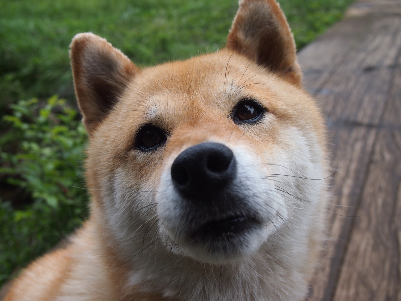 蓝与白的对峙，数字、呐喊与隔网相望的深渊