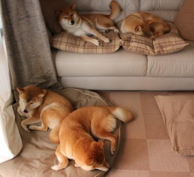 塞维利亚惊天逆转瑞士,阿尔瓦雷斯刷新纪录铸就传奇