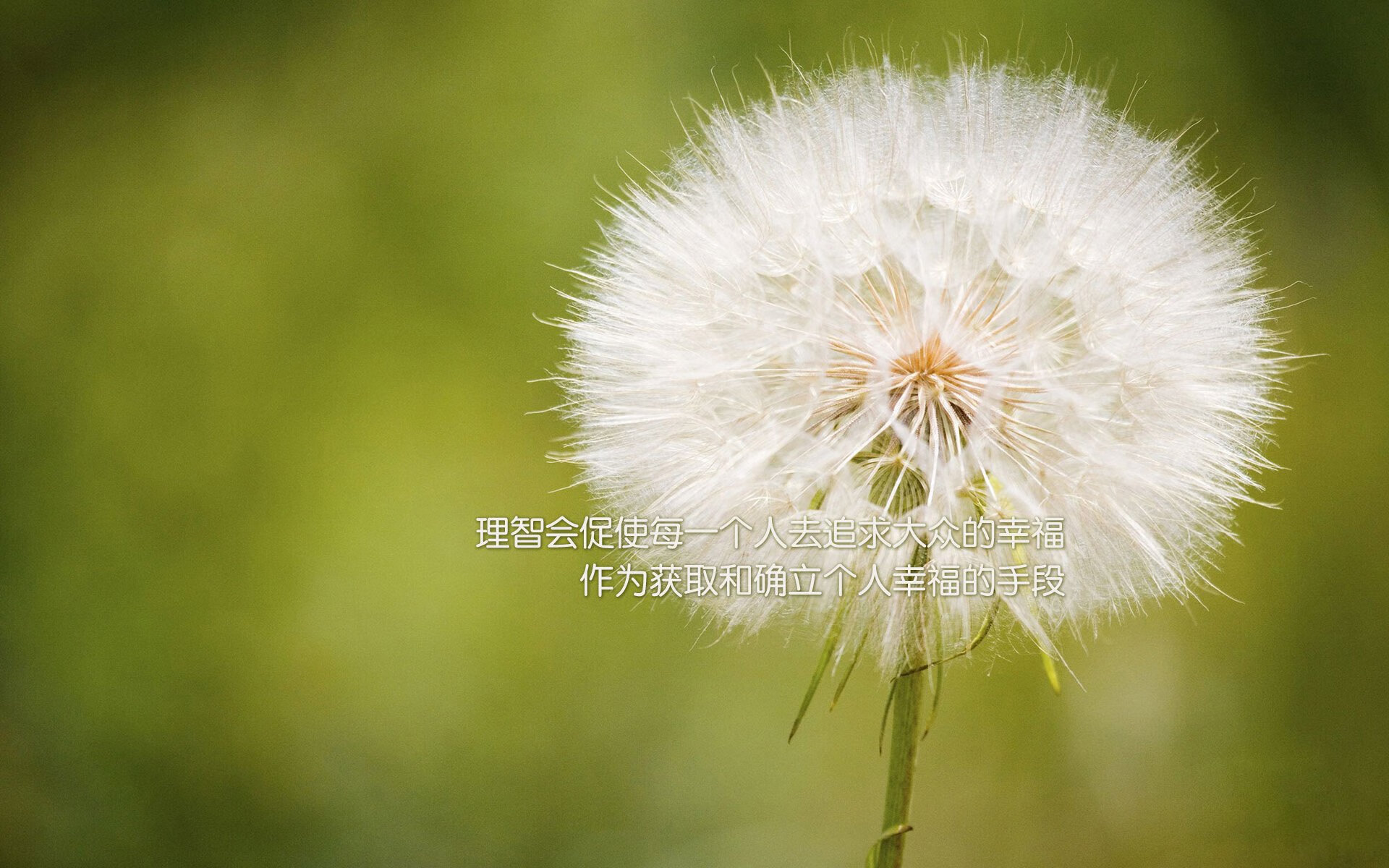 黄鸭组合改写时代,当法国羽球利剑刺穿印尼王朝最后防线