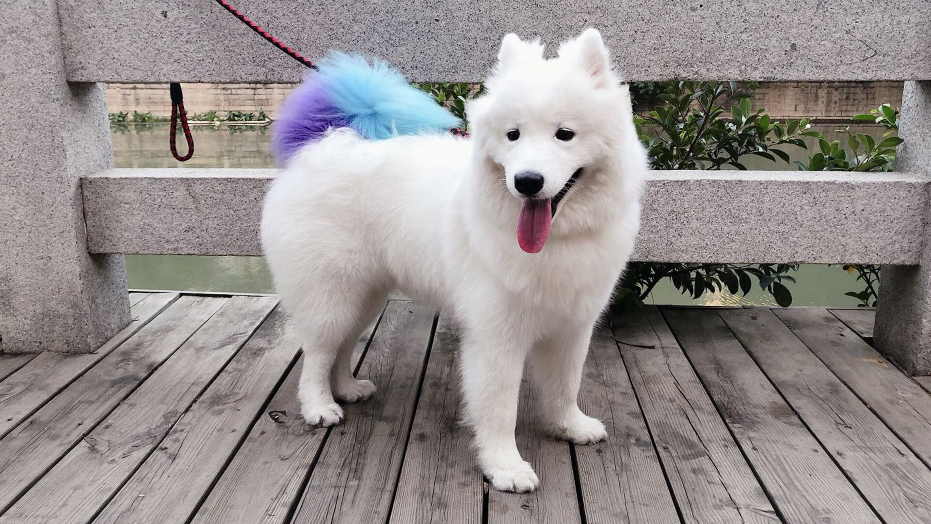 防守与接管，体育世界的两极艺术—从马刺铁桶阵到贝恩的孤胆英雄时刻