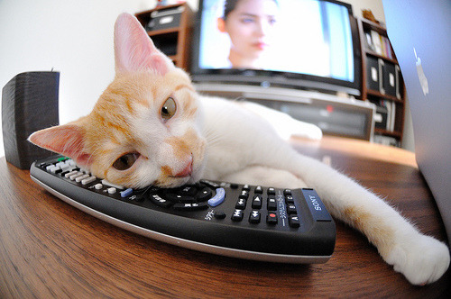 烽火双城记，当国家德比遇见CBA硬仗，竞技体育的燃烧与相通