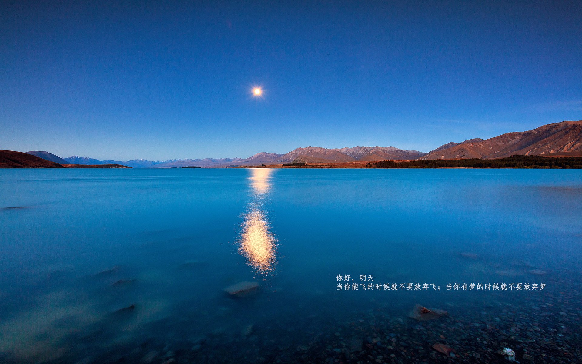 平行宇宙的竞技场,当F1争冠硝烟遇上拉齐奥的南十字星风暴