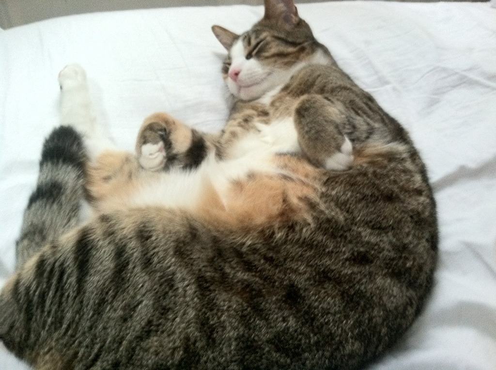 虚空裂缝撕裂次元壁!伦纳德极限爆发,广东宏远决胜局跨界带走金州勇士