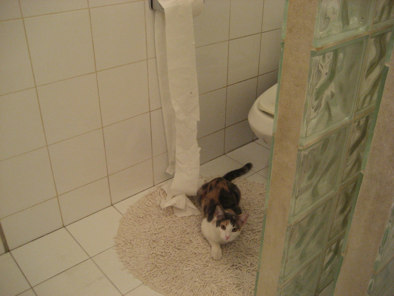 掌控者莱奥，一人定义比赛节奏，哥伦比亚稳步迈向新高度