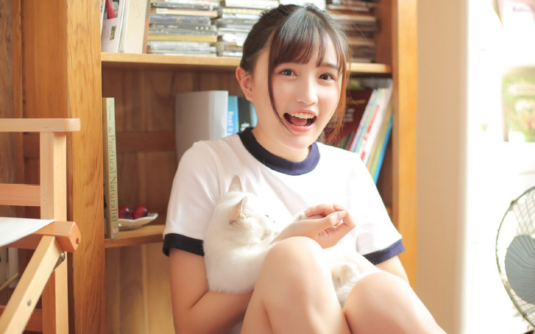 高原惊雷，斯通斯导演，玻利维亚写下历史性一页