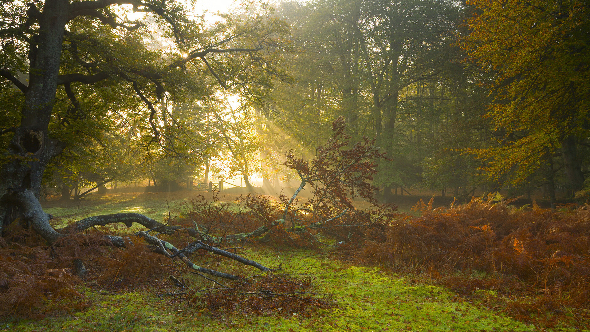 当沙漠风暴遇冰封节拍器，皇家社会用欧冠级节奏掌控，与沙特狂想曲间只隔着一个巴斯托尼