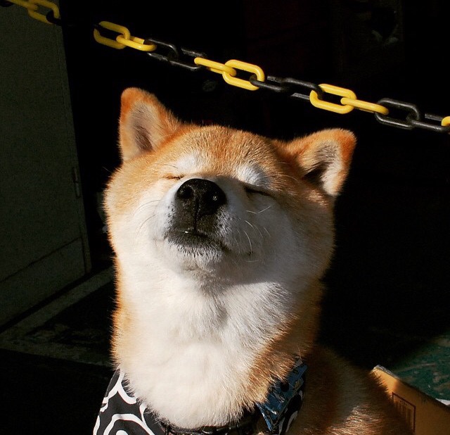 唯一性闪耀，比利亚雷亚尔在西甲国家德比焦点日凭委内瑞拉力量争冠胜出