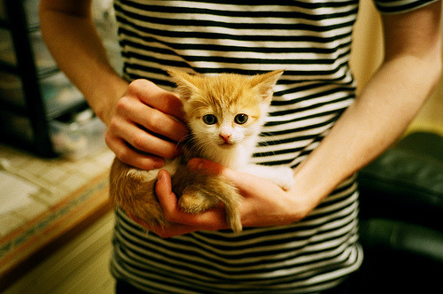 维尼修斯借调基辅之夜，一场友谊赛如何演变为个人英雄主义的华丽独舞