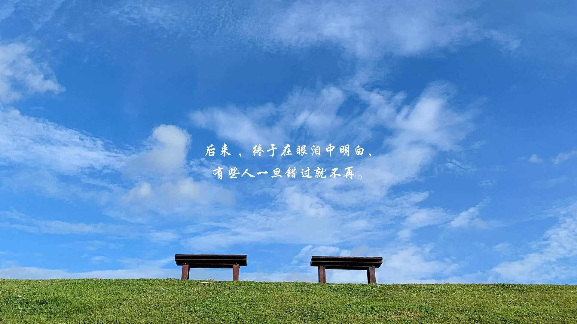 2026世界杯B组战报,厄瓜多尔高原风暴碾压波兰,库尔图瓦独木难支却惊艳全场