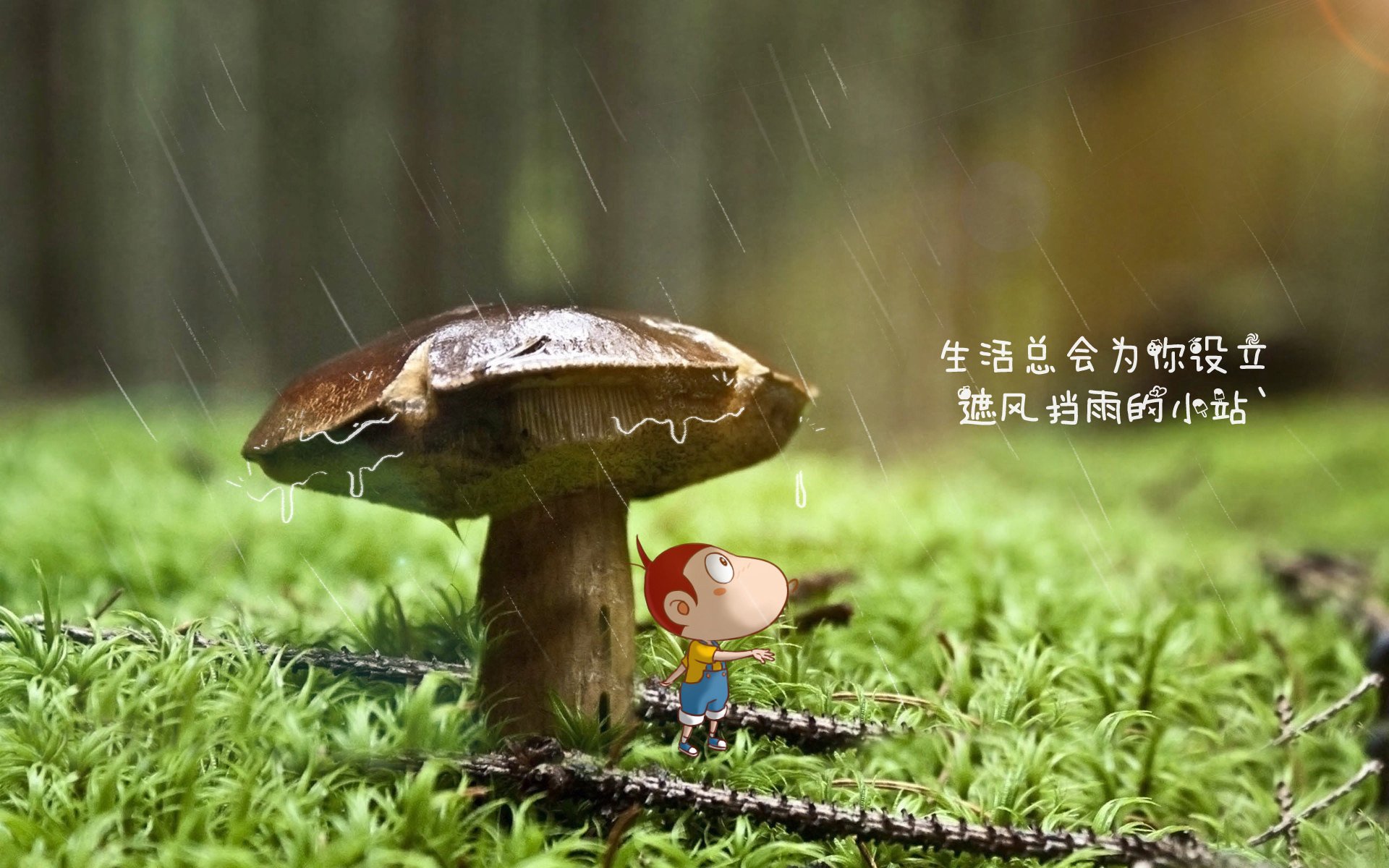 一念之差,乾坤逆转,2026世界杯G组生死战,英格兰三狮梦碎,荷兰铁军与印度黑马携手突围