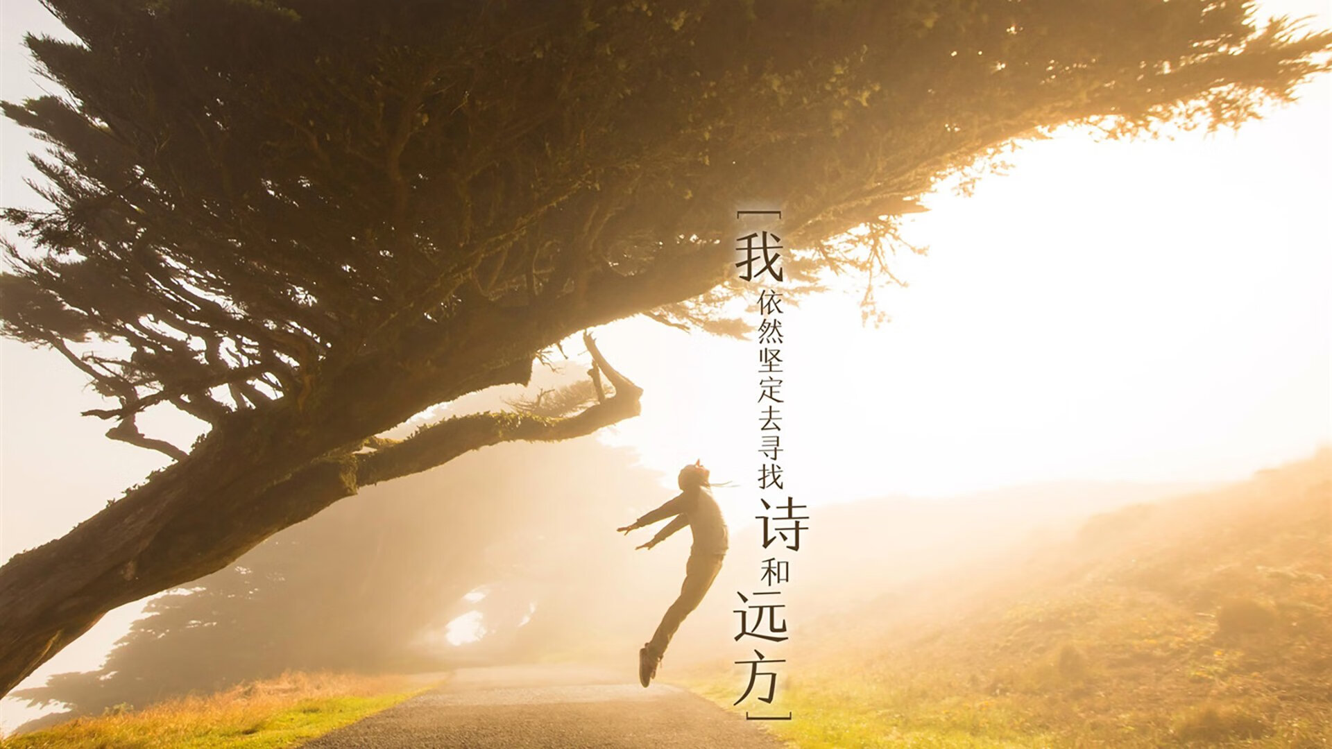 沙漠风暴中的独舞，当喀麦隆的雄狮撕碎波兰铁骑，哈基米用速度定义足球的绝对唯一